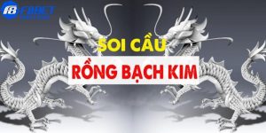 Soi cầu Rồng bạch kim là gì?